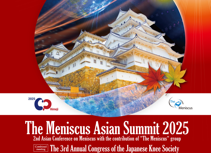 The Meniscus Asia Summit 2025 — invited presentation